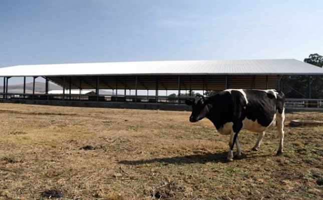 Vrede dairy project case almost ready for court – NPA