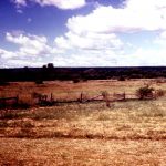 Zimbabwe landscape