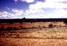 Zimbabwe landscape