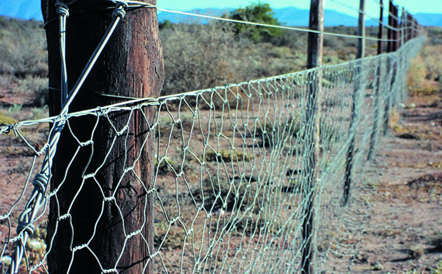 New campaign aims to pressure UN to act on on-farm crime New campaign aims to pressure UN to act on on-farm crime