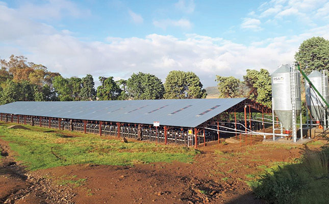 Intensive lambing system produces better weaning percentages Intensive lambing system produces better weaning percentages