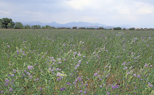 Boost your farm’s sustainability with the right crop rotation Boost your farm’s sustainability with the right crop rotation