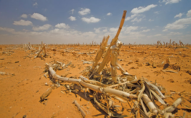 24-hour support line for Northern Cape drought victims