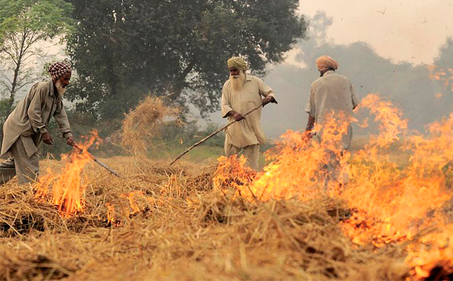 Biogas plants planned to tackle farming pollution in India Biogas plants planned to tackle farming pollution in India