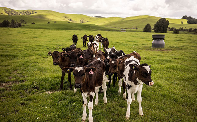 New Zealand adds methane loophole for farmers in carbon bill