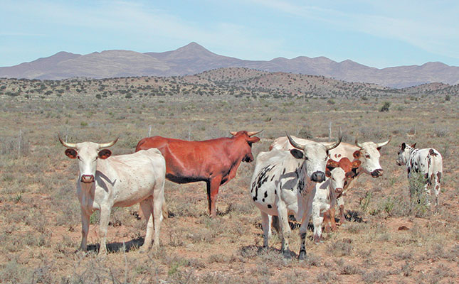 Veld survey raises questions about rotational grazing Veld survey raises questions about rotational grazing