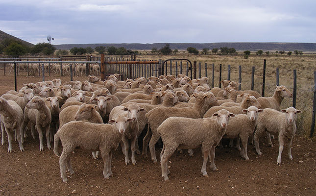 ‘Livestock producers must adapt to climate change’