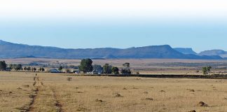 'ANC must urgently clarify latest land expropriation proposal'