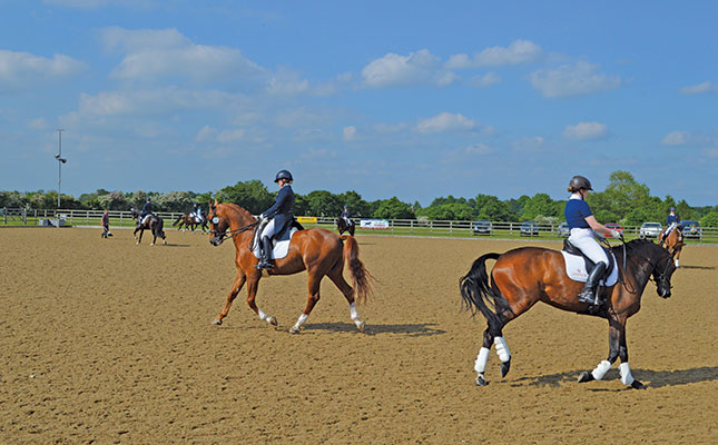 The rules of etiquette in the warm-up arena at a show