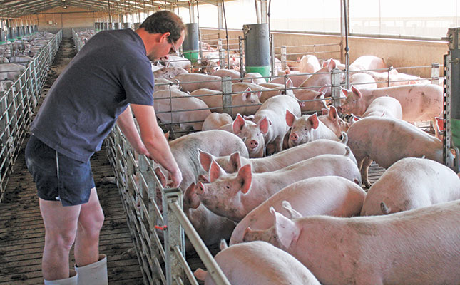 World-class operation profits from ethically produced pigs