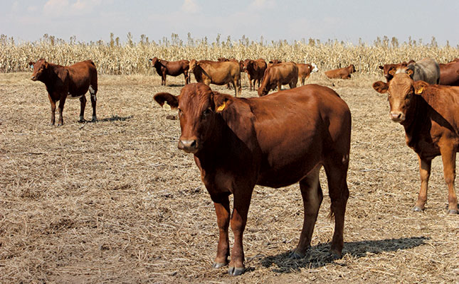 A drought action plan for livestock farmers