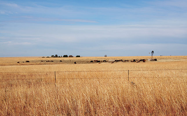 New agriculture development agency to be launched in February