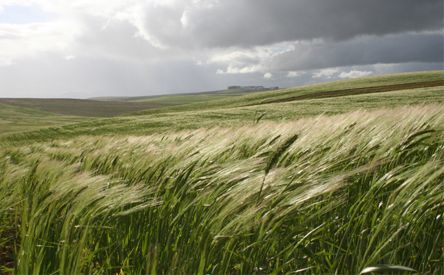 Land reform: speak up now!