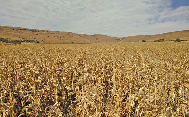 Farmer programme results in higher yields and better lives