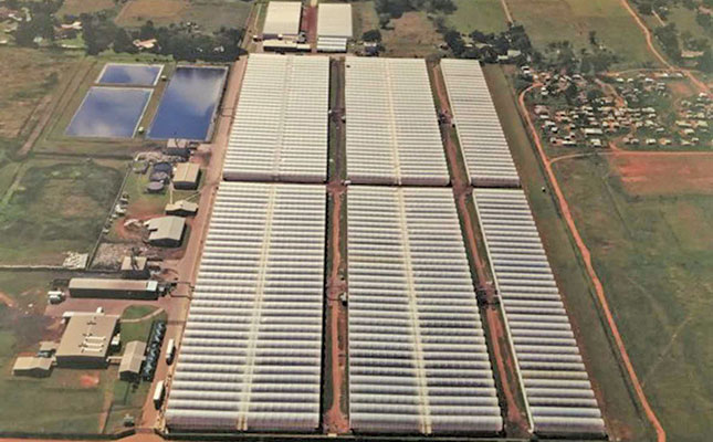 Auction of greenhouse facility in Carletonville