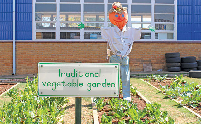 How aquaponics benefits children and the community How aquaponics benefits children and the community