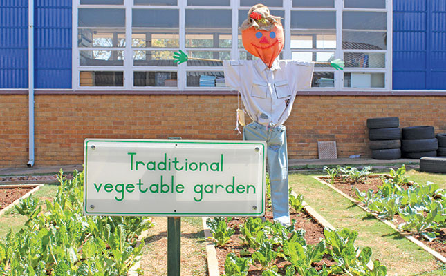 How aquaponics benefits children and the community