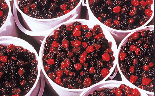 Value adding and ecotourism boost small blackberry farm Value adding and ecotourism boost small blackberry farm