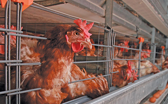 Avian flu outbreak exacerbates coronavirus woes in China