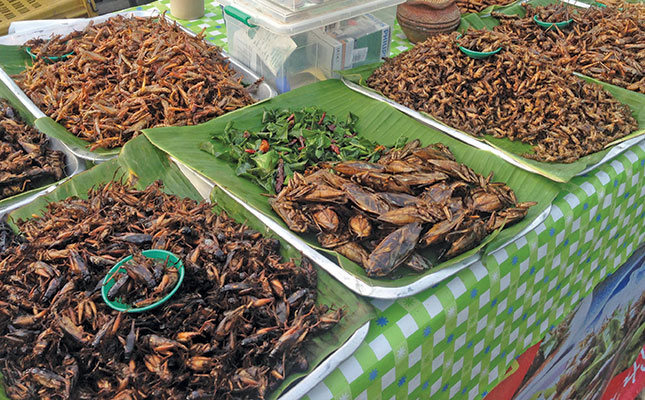 Get ready to profit from plant- and insect-based proteins Get ready to profit from plant- and insect-based proteins