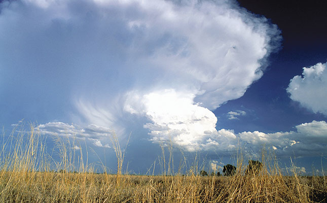 ‘Below-normal rainfall could negatively affect summer crops’ ‘Below-normal rainfall could negatively affect summer crops’
