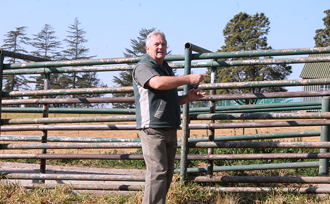 Understand cattle behaviour to achieve low-stress handling