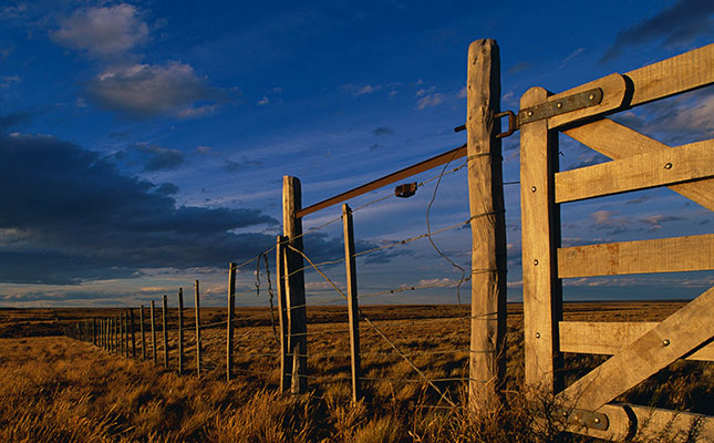 A world without farmers