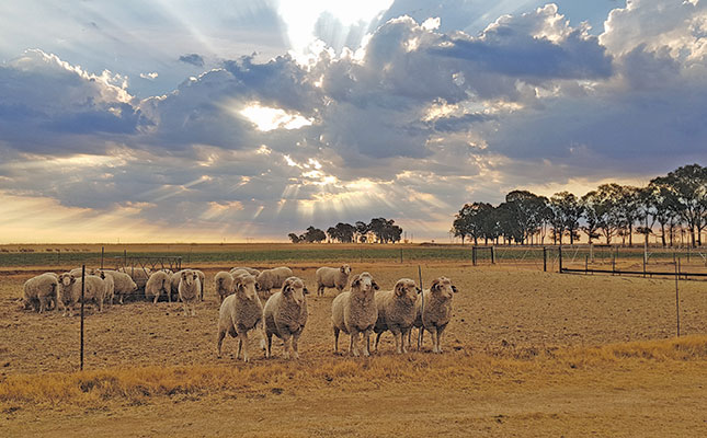 SA farmers to benefit from lower interest rates