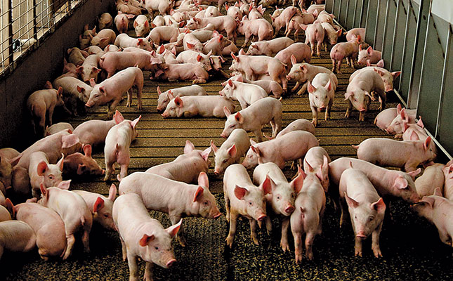 Overseas production hopes to address Chinese pork shortage Overseas production hopes to address Chinese pork shortage
