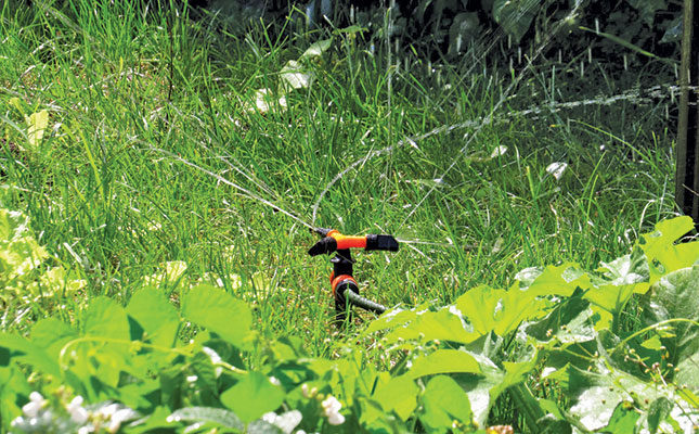 Irrigating your home garden