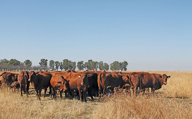 Private and government support helps new farmer flourish