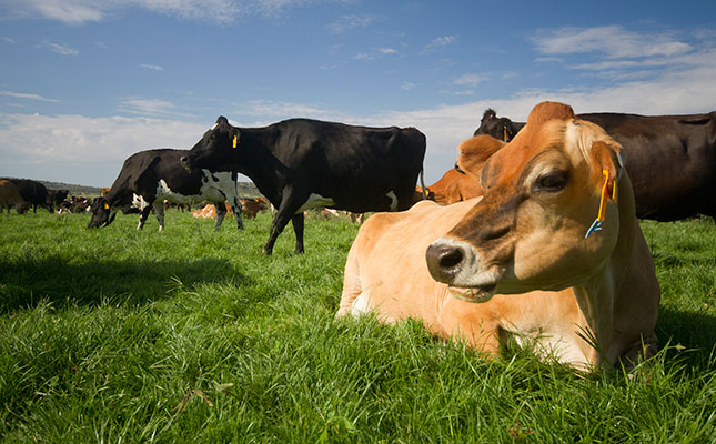 Thousands of litres of milk dumped in US as pandemic deepens