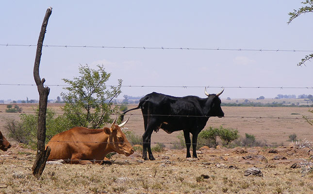 Northern Cape drought aid grinds to a halt amid lockdown