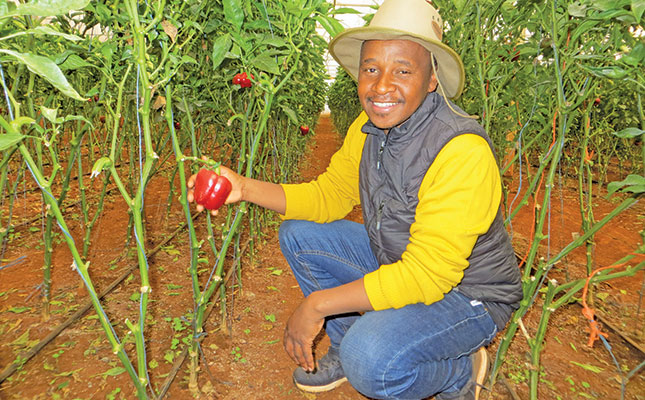 Vegetable farmer’s battle against the forces of nature Vegetable farmer’s battle against the forces of nature