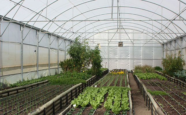 Africa agripreneur competition to award two US$50 000 prizes Africa agripreneur competition to award two US$50 000 prizes