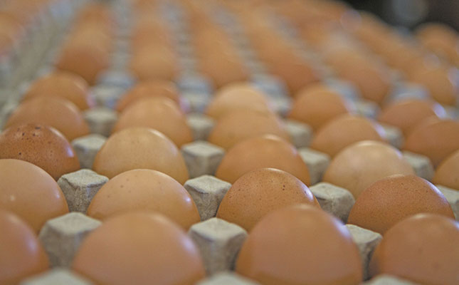 Egg demand ‘shoots through the roof’ during lockdown