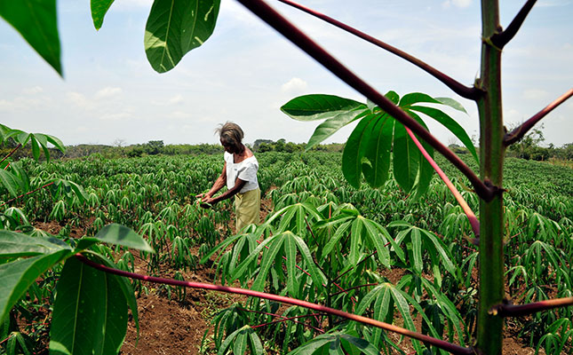 Subsidies can support food production during COVID-19 crisis Subsidies can support food production during COVID-19 crisis