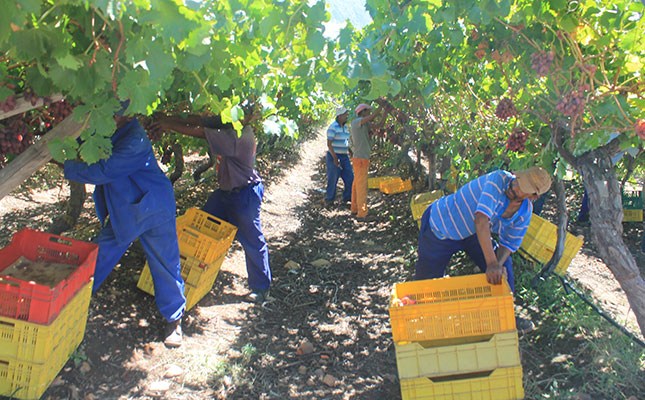 Road safety under scrutiny after fatal farmworker accident Road safety under scrutiny after fatal farmworker accident