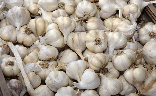 South African consumers to pay much more for garlic South African consumers to pay much more for garlic