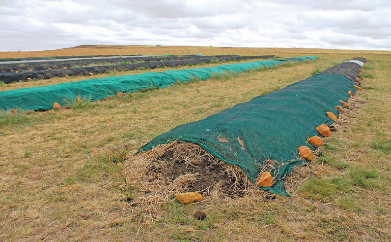 Large-scale composting turns waste into healthy soil