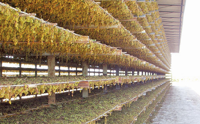 Export opportunities for South African raisins to the UK Export opportunities for South African raisins to the UK