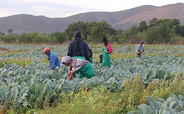 Coronavirus lockdown hampers SA’s farming activities Coronavirus lockdown hampers SA’s farming activities