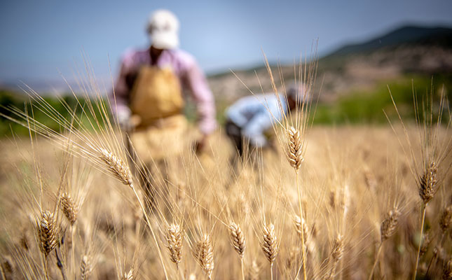 African states urged not to restrict cross-border food trade