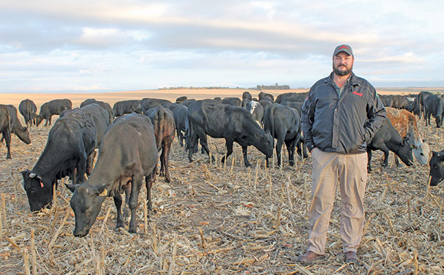 Free State farmer shares lessons on ultra-high-density grazing