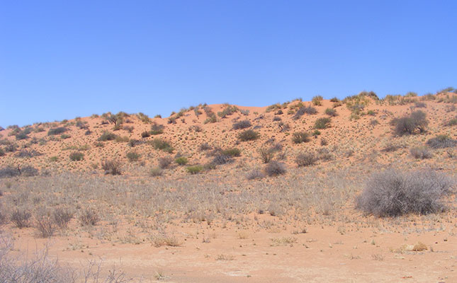 Relief funds dry up as Namibian drought continues unabated Relief funds dry up as Namibian drought continues unabated