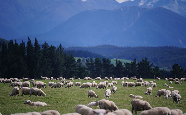 New Zealand schools to teach pupils to avoid dairy and meat