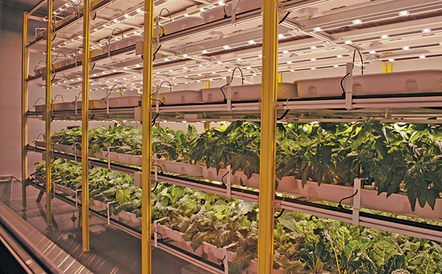 A high-yield indoor farming system ideal for the city A high-yield indoor farming system ideal for the city