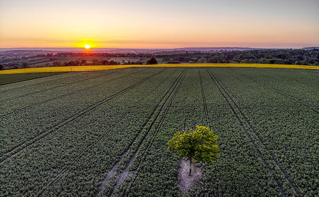 Much controversy in the UK over farm jobs for Brits