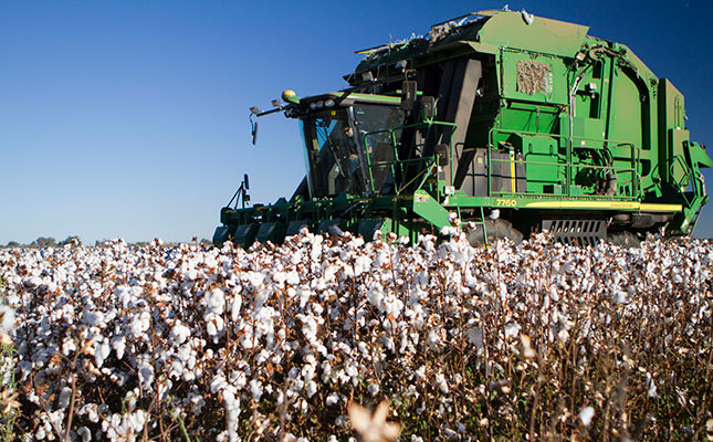 Cotton industry upbeat despite global plunge in consumption