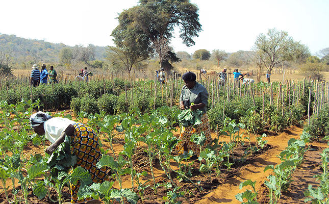 More than 40 000 farmers apply for agri COVID-19 funding